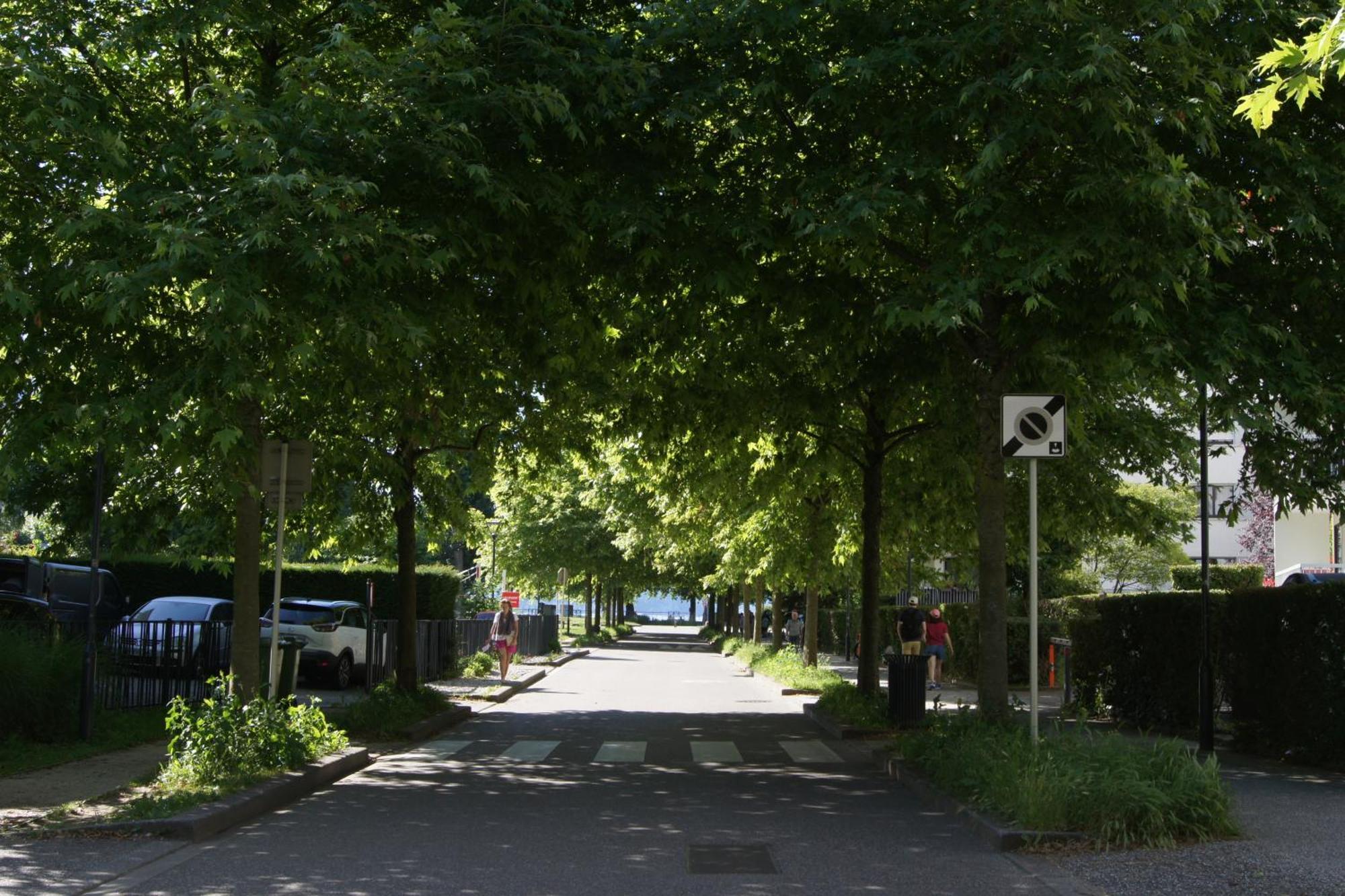 Studio Albigny A 200 M Du Lac D'Annecy Leilighet Eksteriør bilde